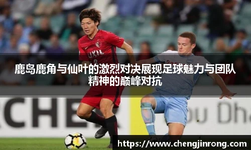 od综合体育官网